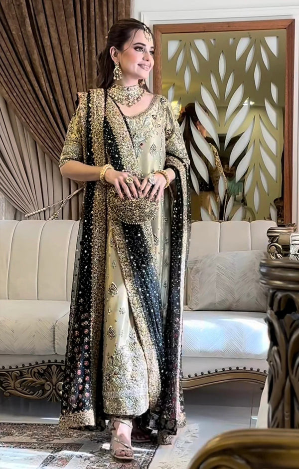 HARIS SHAKEEL SHABNAM SUMBAL